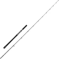 Penn Battalion Solid Hybrid Boat Baitcasting Rod Zilver 2.38 m / 20-30 Lbs