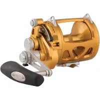 Penn International Vi Sw Trolling Reel Goud 50