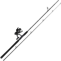 Penn Wrath Ii Spin Spinning Combo Zilver 2.44 m / 60-120 g