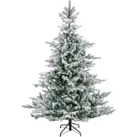 Everlands Grandis fir Snowy 450 cm