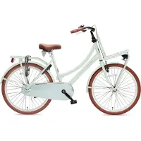 Antilope Mini Cargo X1 Transport 24 Inch Meisjesfiets Mat Lichtgroen