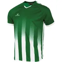 Stanno Vivid Shirt Groen | Maat 164