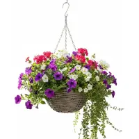 Van der leeden Vd Leeden Hangmand - D30 x H15 cm - gevlochten wilg - hangende plantenbak met ketting – bloempot – Handgevlochten in Indonesië