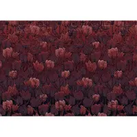 Komar Fotobehang Tulipe - Rood - 2,80m X 400cm