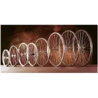 Gurpil Achterwiel voor mountainbike met 350 aluminium spaken