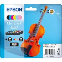 Epson Inktcartridge 250 (C13T16N84010) 6-kleuren