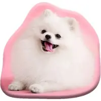 Dog Kussen van hond