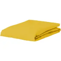 Essenza Hoeslaken The Perfect Organic Jersey Mustard (Jersey)-Lits-Jumeaux XL (180/200 x 200/210/220 cm)