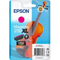 Epson 250XL (C13T16P34010) Inktcartridge Magenta Hoge capaciteit