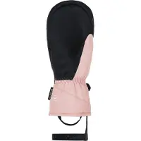 Viking Sherpa 2.0 Gore-tex Handschoenen