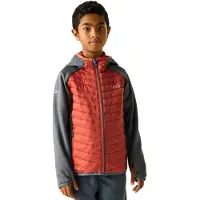 Regatta - Kid's Junior Andreson Hybrid - Hybride jas 13 Years, rood