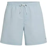 O'Neill Zwemshorts 'Vert 16' lichtblauw