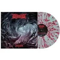 Ingested LP - Denigration - voor Geen - standaard | Maat Standard