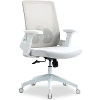 Idimex CAPVAL in hoogte verstelbare bureaustoel met lendensteun, wit - ergonomische bureaustoel met netrugleuning, moderne bureaustoel, comfortabele bureaustoel voor thuiskantoor [tot 120 kg] - main image