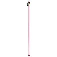 Fischer Storm Gtx S Stokken