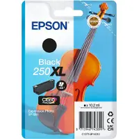 Epson 250XL Cartridge Zwart
