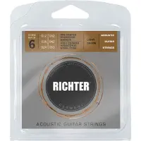 Richter RP1253 Ion Coated Phosphor Bronze Akoestische Snaren (12-53) 1841