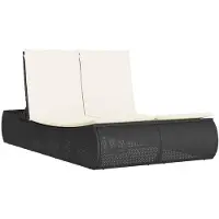 vidaXL Ligbed 2-persoons met kussens poly rattan zwart