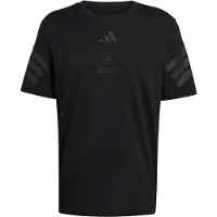Adidas Functioneel shirt 'Mercedes-AMG Petronas Formula 1 Team' zwart