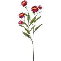 Emerald Xerochrysum spray fuchsia 70 cm kunstplant