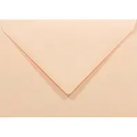 Netuno Gladde zalmkleurige enveloppen C6 - 114 x 162 mm - A6 - 50 stuks - NK natgelijmde - 80 gram - Rainbow -