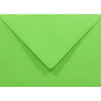 Netuno Gladde groene enveloppen A6 - 125 x 175 mm - B6 - 50 stuks - NK natgelijmde - 80 gram - Rainbow -