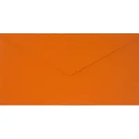 Netuno Gladde oranje enveloppen DL - 110 x 220 mm - 25 stuks - NK natgelijmde - 115 gram - Sirio Color -