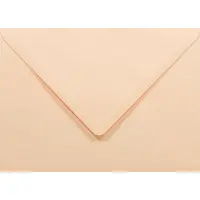 Netuno Gladde zalmkleurige enveloppen A6 - 125 x 175 mm - B6 - 50 stuks - NK natgelijmde - 80 gram - Rainbow -