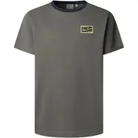 Pepe Jeans Heren Soren T-shirt groen (S), Casual, Katoen, Korte mouwen PM5010320
