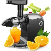 Core Sapcentrifuges Groenten en Fruit – Slowjuicer Universeel Gebruik – Juicer Vaatwasser Bestendig – Zwart / Zilver- ‎44x 32x 21cm; 3.6 kg