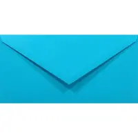 Netuno Gladde blauwe enveloppen DL - 110 x 220 mm - 50 stuks - NK natgelijmde - 80 gram - Rainbow -