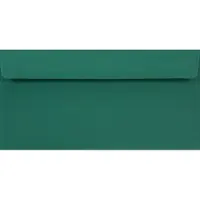 Netuno Gladde groene enveloppen DL - 110 x 220 mm - 25 stuks - HK zelfklevend met plakstrip - 90 gram - Burano -