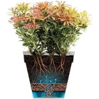 You do it Bloempot - Elho - Loft Urban Rond - Hoogte 35 - Rood - L 34 x B 33,5 x H 45 cm - Buiten - 100% ge...