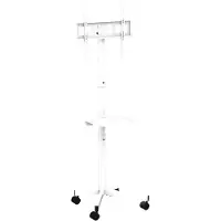 Gembird TV-vloerstandaard met zwenkwielen, 32'' - 55''