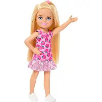 Barbie Familie en Vrienden Pop