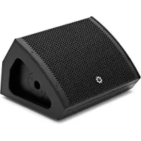 G4M 10" Passive Stage Monitor / PA Speaker
