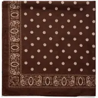 Manfield Bruin sjaaltje met beige details | Maat adult