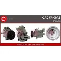 Casco CAC77109AS Aircopomp