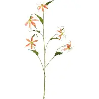 J-Line bloem Gloriosa - textiel - abrikoos - 2 stuks