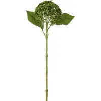 J-Line hortensia - kunststof - groen - 6 stuks