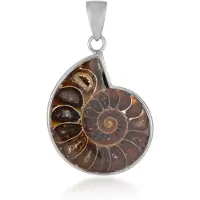 Cavill - Zilveren Hanger met 23 ct Ammoniet uit Madagaskar - 925 Sterling Zilver - Spiraalvormig Nautilus Design - Fancy Slijpsel - Elegante Hanger