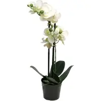 Buitengewoon Boet Phalaenopsis orchidee in pot 50 cm wit kunstplant