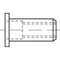 Toolcraft TO-5444235 Popmoer M6 Staal 250 stuk(s)