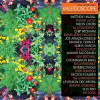 Bertus Distributie Kaleidoscope (3LP)