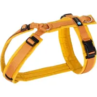 AnnyX Hondentuig - FUN - Y-tuigje - Amber - maat XXS - Borstomvang 36-42cm - Gewicht Hond 3-7 kg