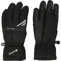 Zanier Handschoenen 'Trysil GTX' zwart