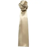 Premier Sjaal - Dames/vrouwen Gewone Zakelijke Sjaal (Khaki)