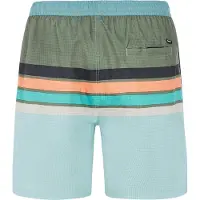 Protest Beachshort Men Prtavik Pale Green-S