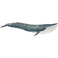 Schleich WILD LIFE - Blauwe Vinvis- Speelfiguur - Kinderspeelgoed voor Jongens en Meisjes - 3 tot 8 jaar - 14806