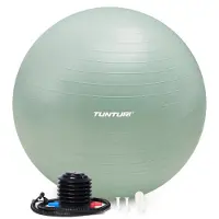 Tunturi Anti Burst Fitness bal met Pomp - Yoga bal 55 cm - Pilates bal - Zwangerschapsbal – 220 kg gebruikersgewicht - Incl Trainingsapp – Munt